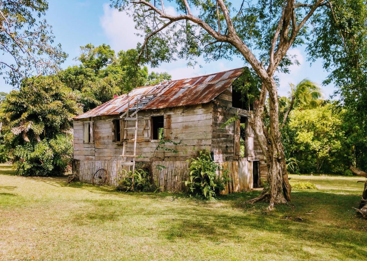 Balenbouche Estate Villa Laborie Luaran gambar