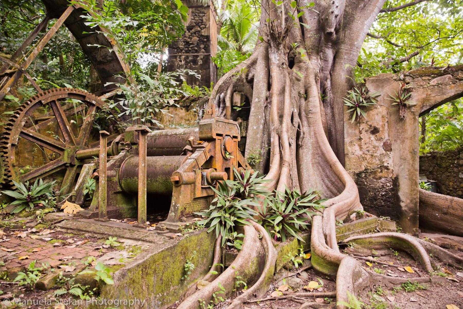 Balenbouche Estate Villa Laborie Luaran gambar