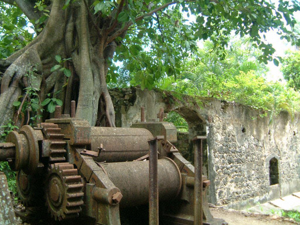 Balenbouche Estate Villa Laborie Luaran gambar