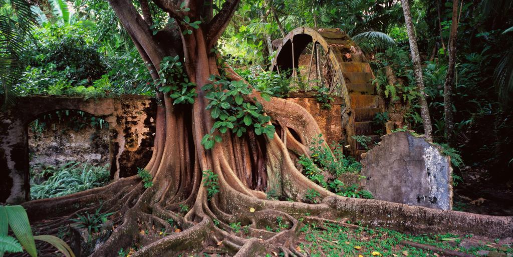 Balenbouche Estate Villa Laborie Luaran gambar