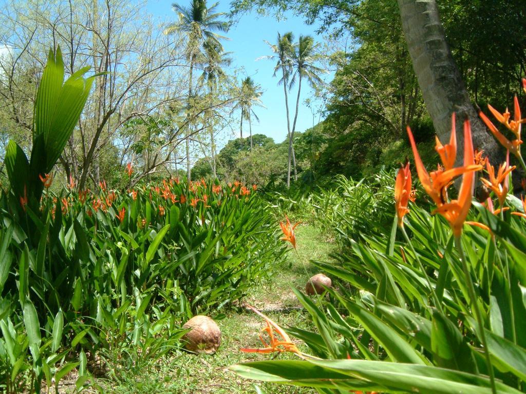 Balenbouche Estate Villa Laborie Luaran gambar