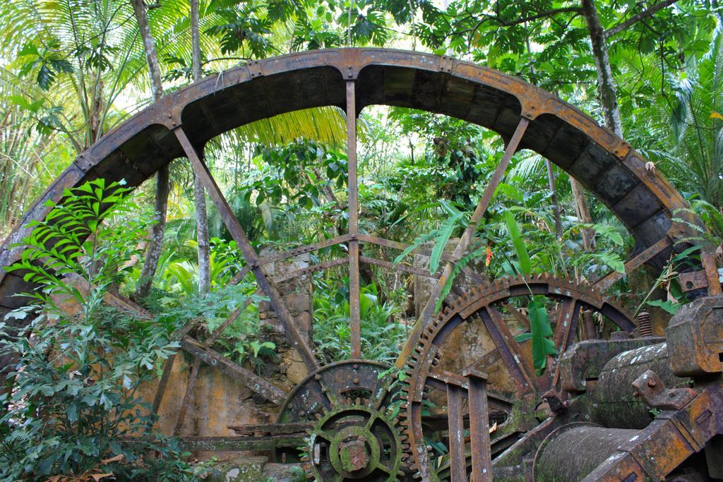 Balenbouche Estate Villa Laborie Luaran gambar